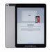 Apple iPad Air 2 WiFi + 4G 32GB Spacegrau