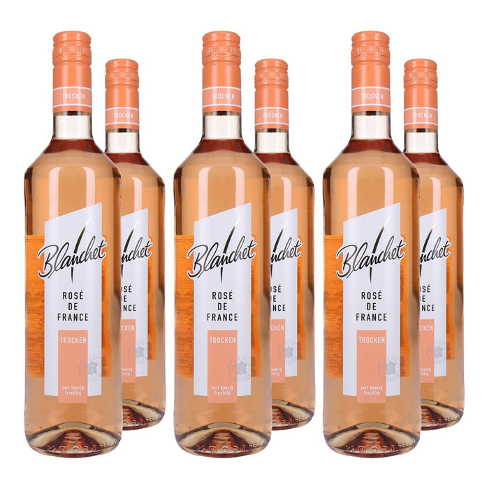 Blanchet Rosé de France Roséwein Trocken 6 x 0,75 L