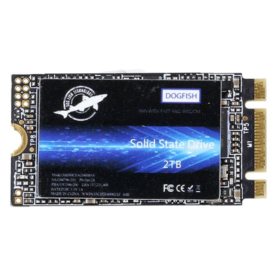 Dogfish M.2 2240 SATA int. SSD 2TB