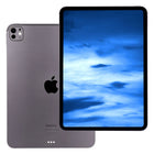 Apple iPad Pro 11 M4 2024 (5. Generation) WiFi 256GB Space Schwarz