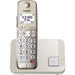 Panasonic KX-TGE250GN