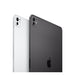 Apple iPad Pro 13 5G 256 GB schwarz