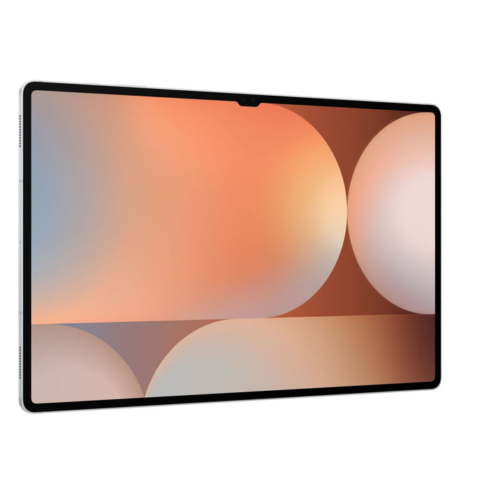 Samsung Galaxy Tab S10 Ultra 256GB 5G + WiFi Platinum Silver