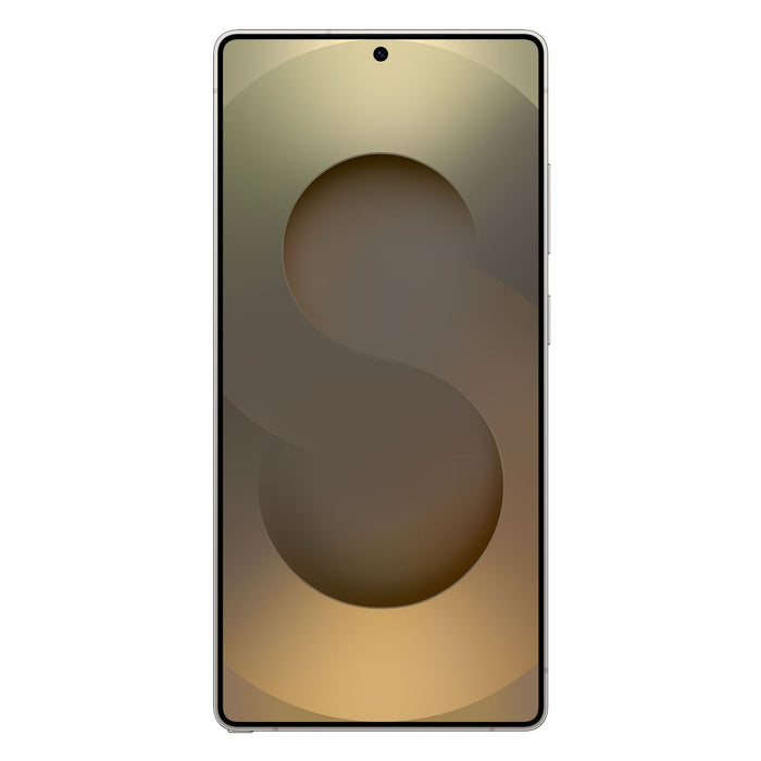 Samsung Galaxy S25 Ultra 256GB Grau, Titan
