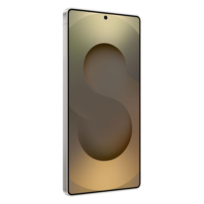 Samsung Galaxy S25 Ultra 256GB Grau, Titan