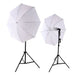 ESDDI Professionelles Fotostudio-Set 2.6M x 3M / 8