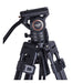 Cayer BF30L Video-Stativ mit Fluid-Kopf, 73 Heavy