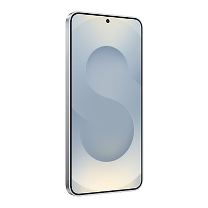 Samsung Galaxy S25 Enterprise Edition 128GB Silver Shadow