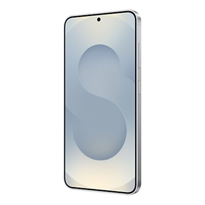 Samsung Galaxy S25 Enterprise Edition 128GB Silver Shadow