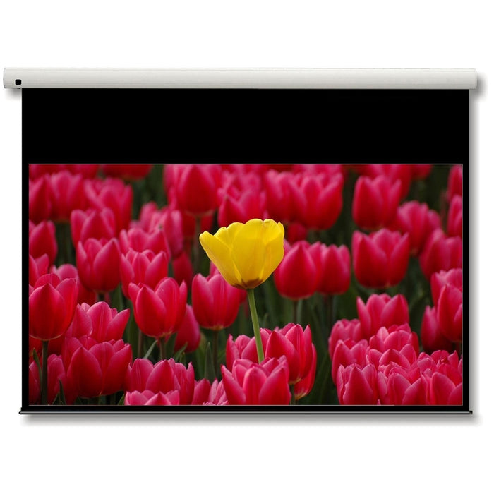 Optoma DE-9106EGA 16:9 234x133cm